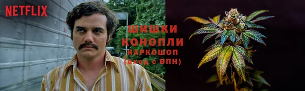 МДПВ Лиски