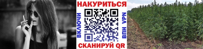 МАРИХУАНА MAZAR купить наркотики сайты Новое Девяткино